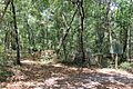 Site of Fort Peyton - now overgrown and wooded