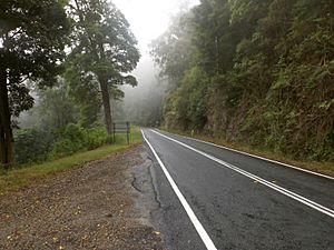 Springbrook Road at Springbrook, Queensland.jpg