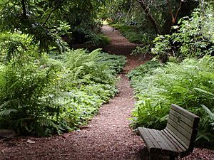 Strybing Arboretum trail