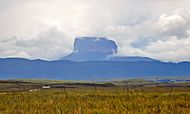 Tepuy Gran Sabana