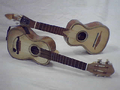 Vea.cavaquinho