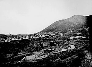 Virginia city 1867-8