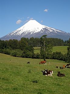 Volcanosorno