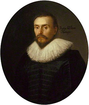 William Harvey 2.jpg