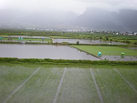 Yunnan rice paddies 04