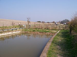 02042007 Wendover Canal 001 (7)