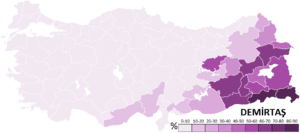 2014 Turkish Presidential Election-Demirtaş