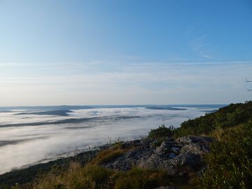 A view from Mount Race.jpg