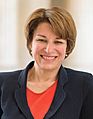 Amy Klobuchar, official portrait, 113th Congress (cropped 2)