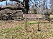 Arbutus Oak Sign