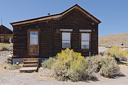 Bodie September 2016 050.jpg