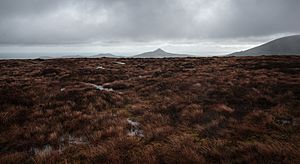 Bog, Tonduff