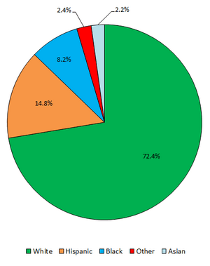 CNV Race and Ethnicity