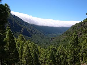 Caldera de Taburiente La Palma