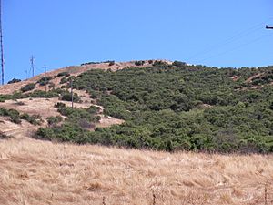 Coyote peak 1