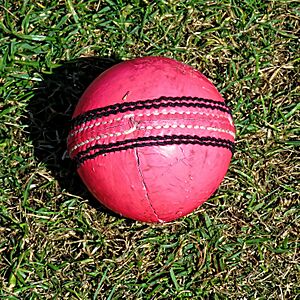 Cricket ball at Church Times Cricket Cup final 2019