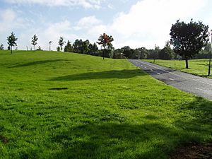 Cycle Path in Craigavon - geograph.org.uk - 535253