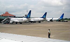 Garuda Old and New Livery