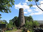 Gedney Dyke Mill.jpg