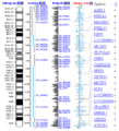 Genome viewer screenshot small