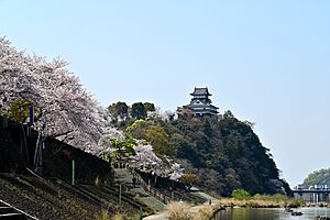 Inuyama Castle