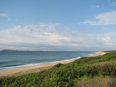 Myall Lakes National Park.jpg