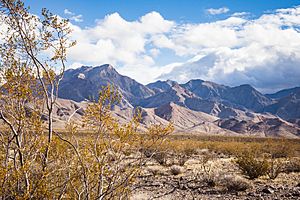 Pahrump Valley Wilderness