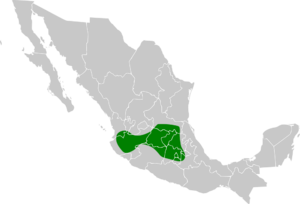 Rallus tenuirostris map.svg