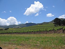 Santa Ynez Valley.JPG