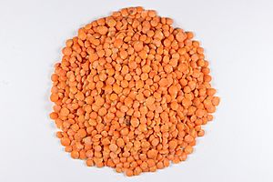 Split Red Lentil