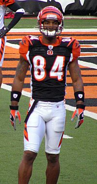 TJ Houshmandzadeh 2007