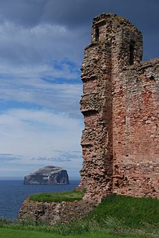 Tantallon Castle wall and Bass Rock