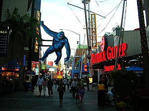 Universal CityWalk Hollywood 5