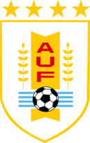 Shirt badge/Association crest