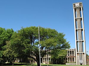 Vryburg town hall