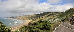 Wainui Beach