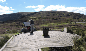 Wicklow Gap viewpoint