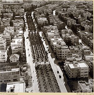 Zoltan Kluger. Tel-Aviv (Rothschild Boulevard)