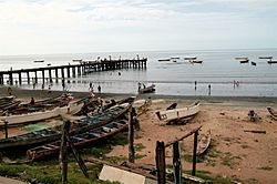 Bakau 0001.jpg