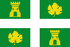 Flag of Villaverde de Medina, Spain