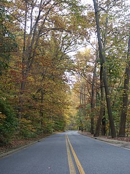 Beach Drive in Rock Creek Park