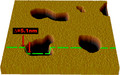 Bilayer AFM schematic