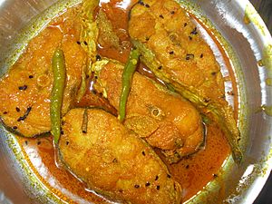 Boyal Macher Jhol