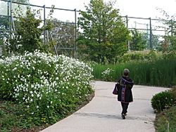 Branly 18026 Quai-Branly-jardin-nord-47