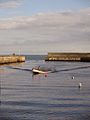 Bray Harbour, Co Wicklow, October 12 2014