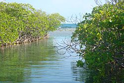 Cayo Matías, Salinas, Puerto Rico