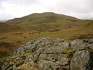 Common Fell from Bracken How