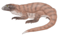 Eldeceeon life restoration