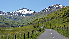 Fond-de-la-vallée-de-Cheylade-dpt-Cantal-DSC 2480.jpg