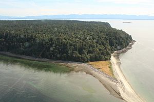 Harwood Island from air 2.jpg